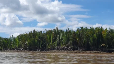 Various patterns of white clouds in the blue sky above the Kapuas River Видео 337232105