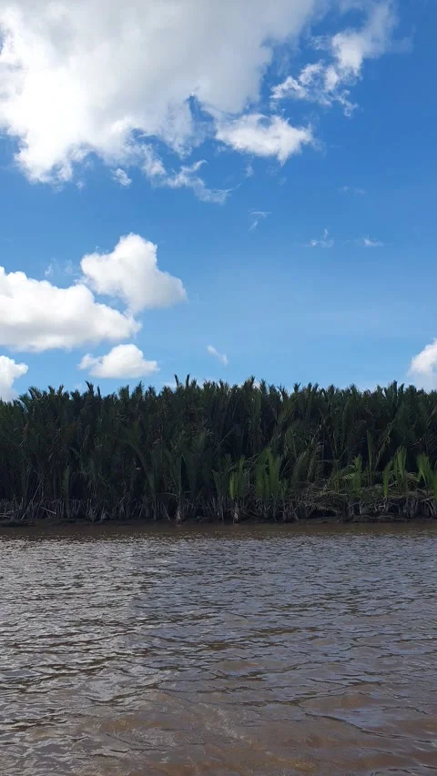 Various patterns of white clouds in the blue sky above the Kapuas River Stock-Footage 337232456