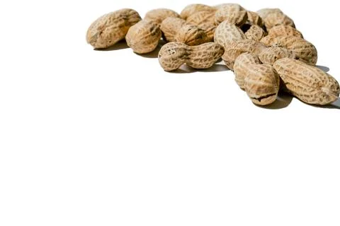 Various peanuts with shell on white background. copy space Stock Photos