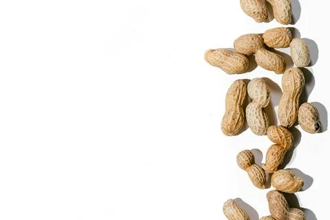 Various peanuts with shell on white background. copy space Stock Photos