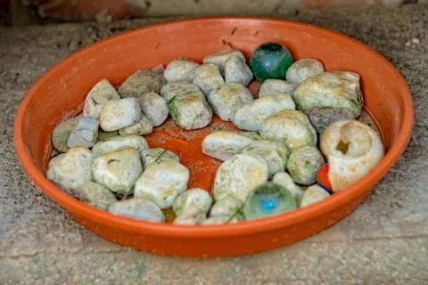 Various pebbles in a coaster Foto stock