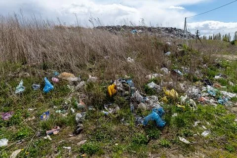 Various pieces of garbage are lying on the grass in an urban setting next t.. Stock-Fotos