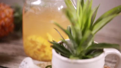 Various pineapple processed products (1) Stock Footage 202234467