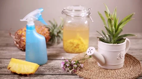 Various pineapple processed products (2) 動画素材 202234488