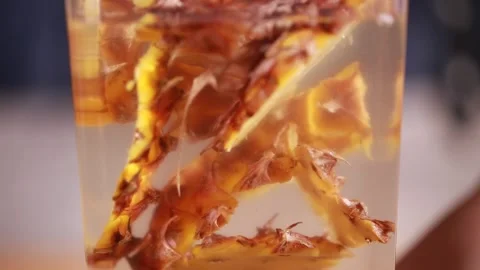 Various pineapple processed products (4) Stock Footage 202234480