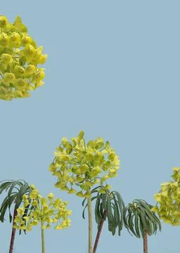 Various plants on a blue background. 스톡 사진