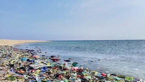 Various plastic waste scattered on the beach Stock Footage 314200947