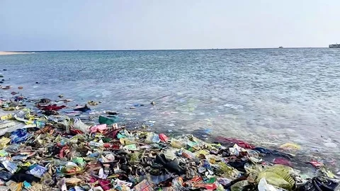 Various plastic waste scattered on the beach Stock Footage 314200949