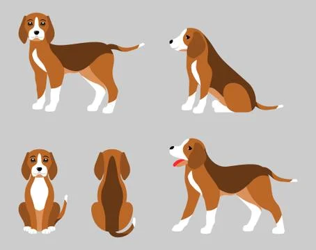 Various Poses of Dog Beagle, Simple Flat Style Illustrazione stock