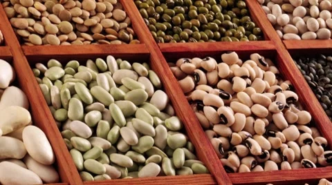 Various pulses in type case Stock Footage 8574299