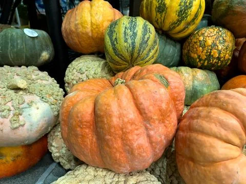 Various pumpkins at the market in fall. Stock Photos