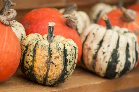 Various pumpkins at the market Stock Photos