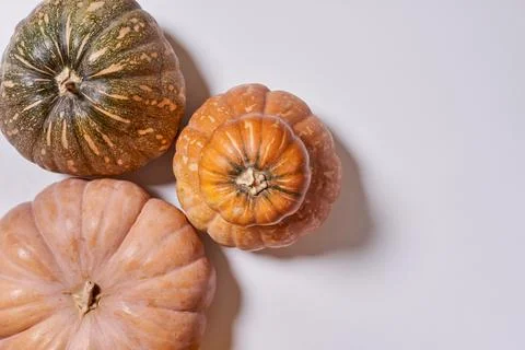 Various pumpkins on white background Stock Photos