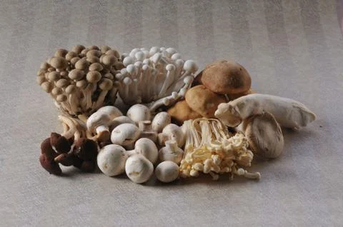 Various raw mushroom types. Stock Photos