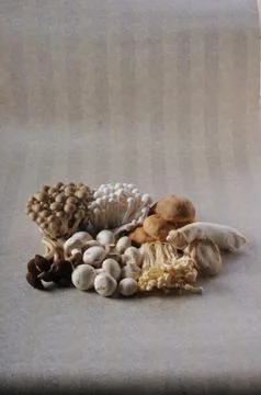 Various raw mushroom types. Stock Photos