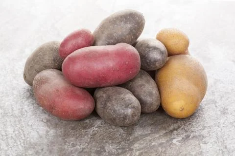 Various raw potatoes. Stock Photos