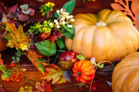Various raw pumpkins. Stock Photos