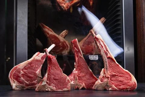 Various raw steaks on a background of dry aging cabinet Stock Photos