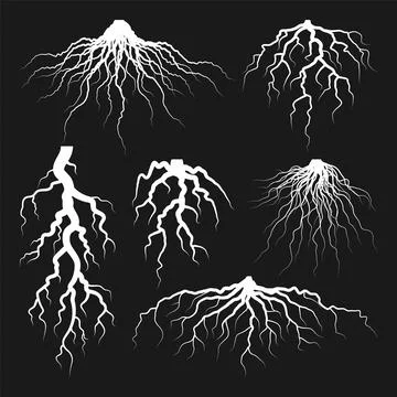 Various realistic tree or shrub roots. Parts of plant, root system with tree Illustrazione stock