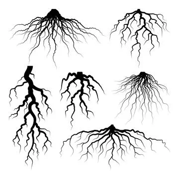 Various realistic tree or shrub roots. Parts of plant, root system with tree Stock Illustration