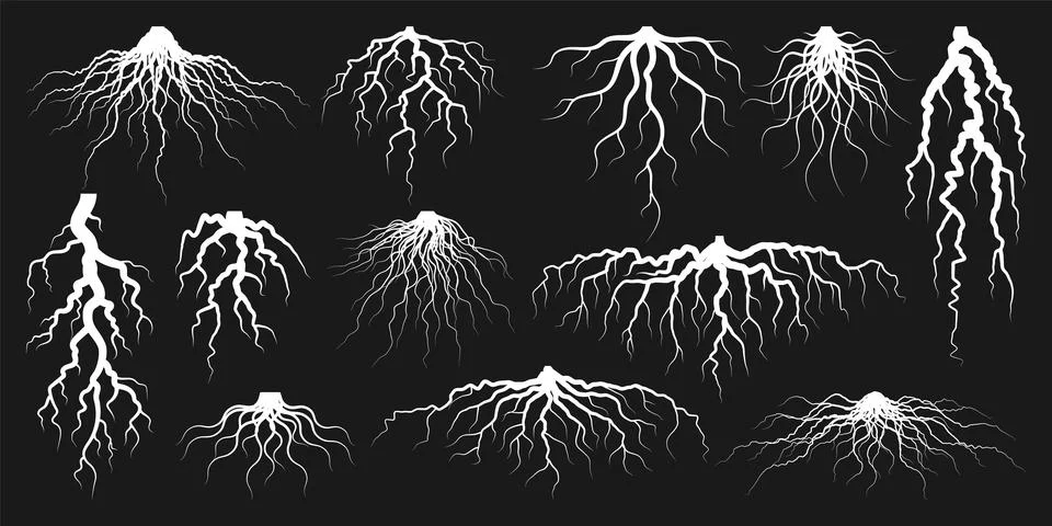 Various realistic tree or shrub roots. Parts of plant, root system with tree Stock Illustration