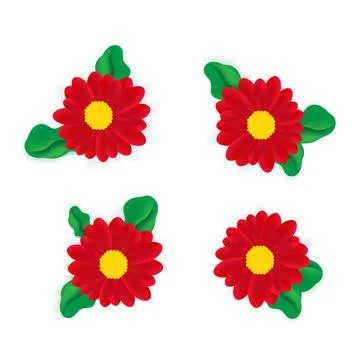 Various red realistic daisies or gerbera with leaves isolated on white Illustrazione stock
