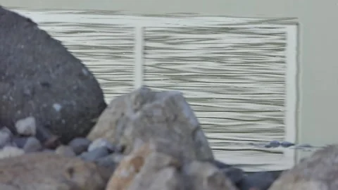 Various reflections in the water Stock Footage 237098103