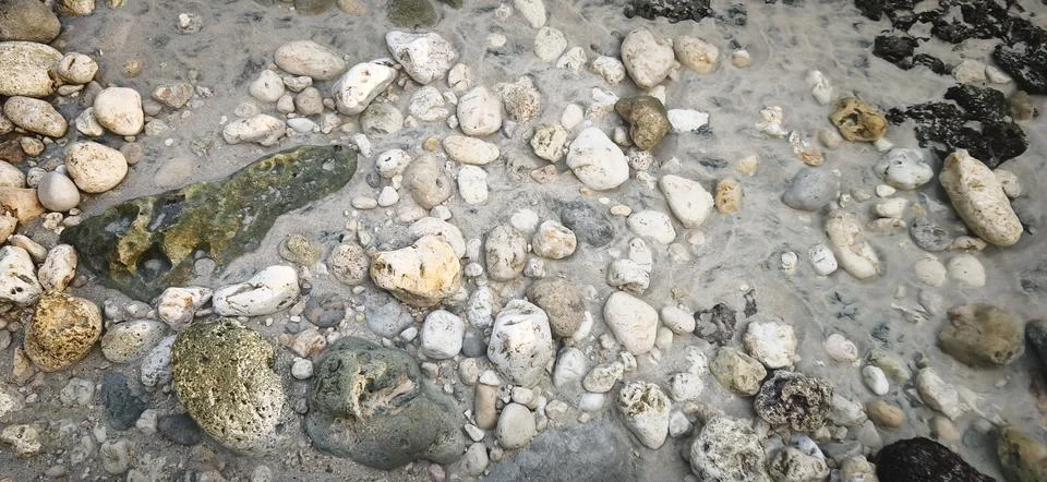 Various Rocks and Pebbles on the Beach Sand Stock Photos