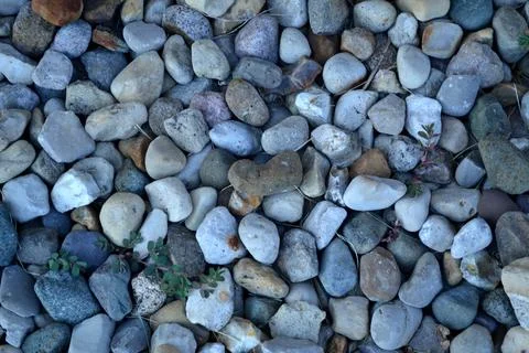 Various Rocks Closeup View Fotos Stock