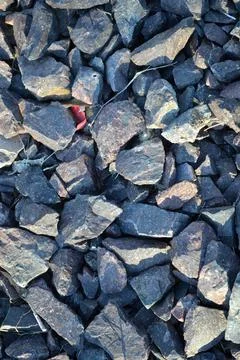 Various Rocks on the Ground Stock Photos