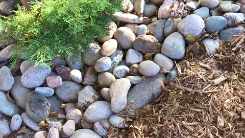 Various Rocks Zoom Out Stock Footage 247017784