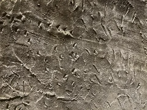 Various rough marks on roughly gray cement wall look like metal sheet Stock Photos