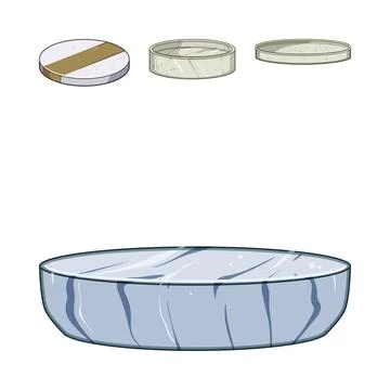 Various round textured objects and minimalist coasters 库存插图