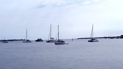 Various Sailboats on the Ocean Stock Footage 162869335