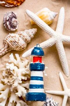 Various sea shells, concept, design, photo, background Stock Photos