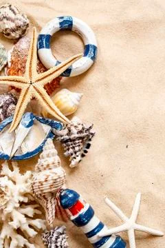 Various sea shells, concept, design, photo, background Stock Photos