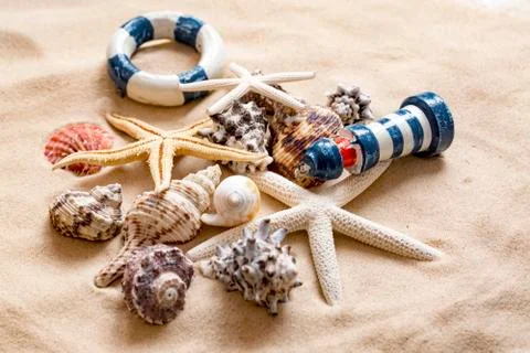 Various sea shells, concept, design, photo, background Stock Photos