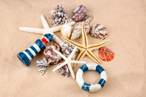 Various sea shells, concept, design, photo, background Stock Photos