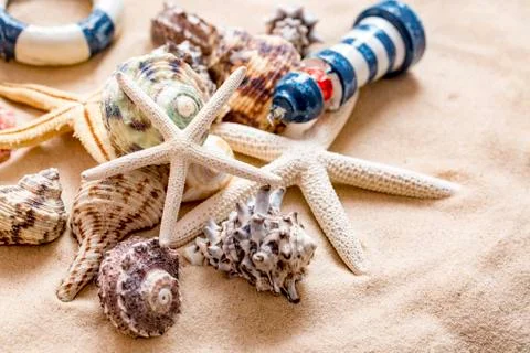 Various sea shells, concept, design, photo, background Stock Photos