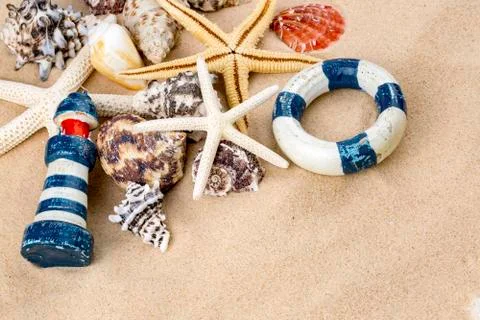 Various sea shells, concept, design, photo, background 스톡 사진