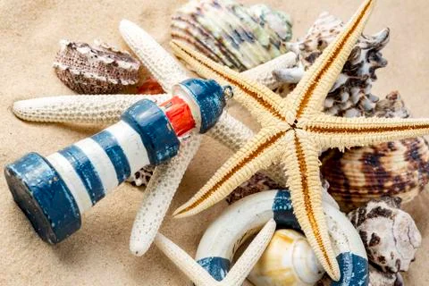 Various sea shells, concept, design, photo, background Stock Photos