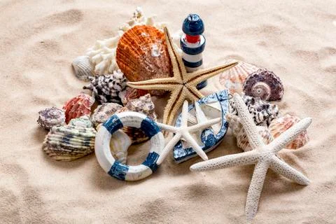 Various sea shells, concept, design, photo, background Stock Photos
