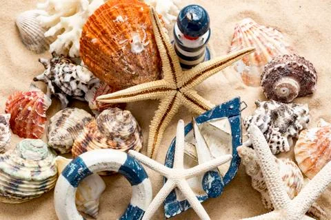 Various sea shells, concept, design, photo, background Stock Photos