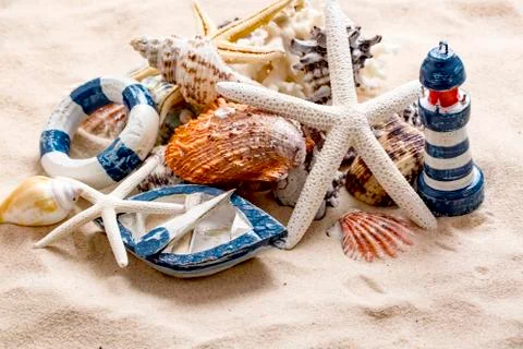 Various sea shells, concept, design, photo, background Stock Photos