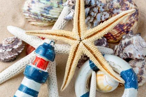 Various sea shells, concept, design, photo, background Stock Photos