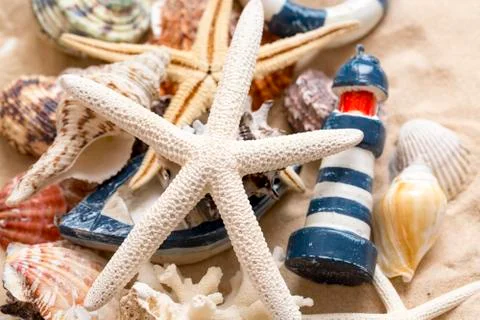 Various sea shells, concept, design, photo, background Stock Photos