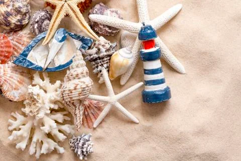 Various sea shells, concept, design, photo, background Stock Photos