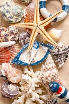 Various sea shells, concept, design, photo, background 스톡 사진
