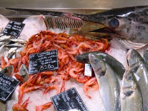 Various seafood on display  Stock Photos