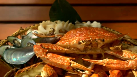 Various seafood video clips Stock Footage 309263024